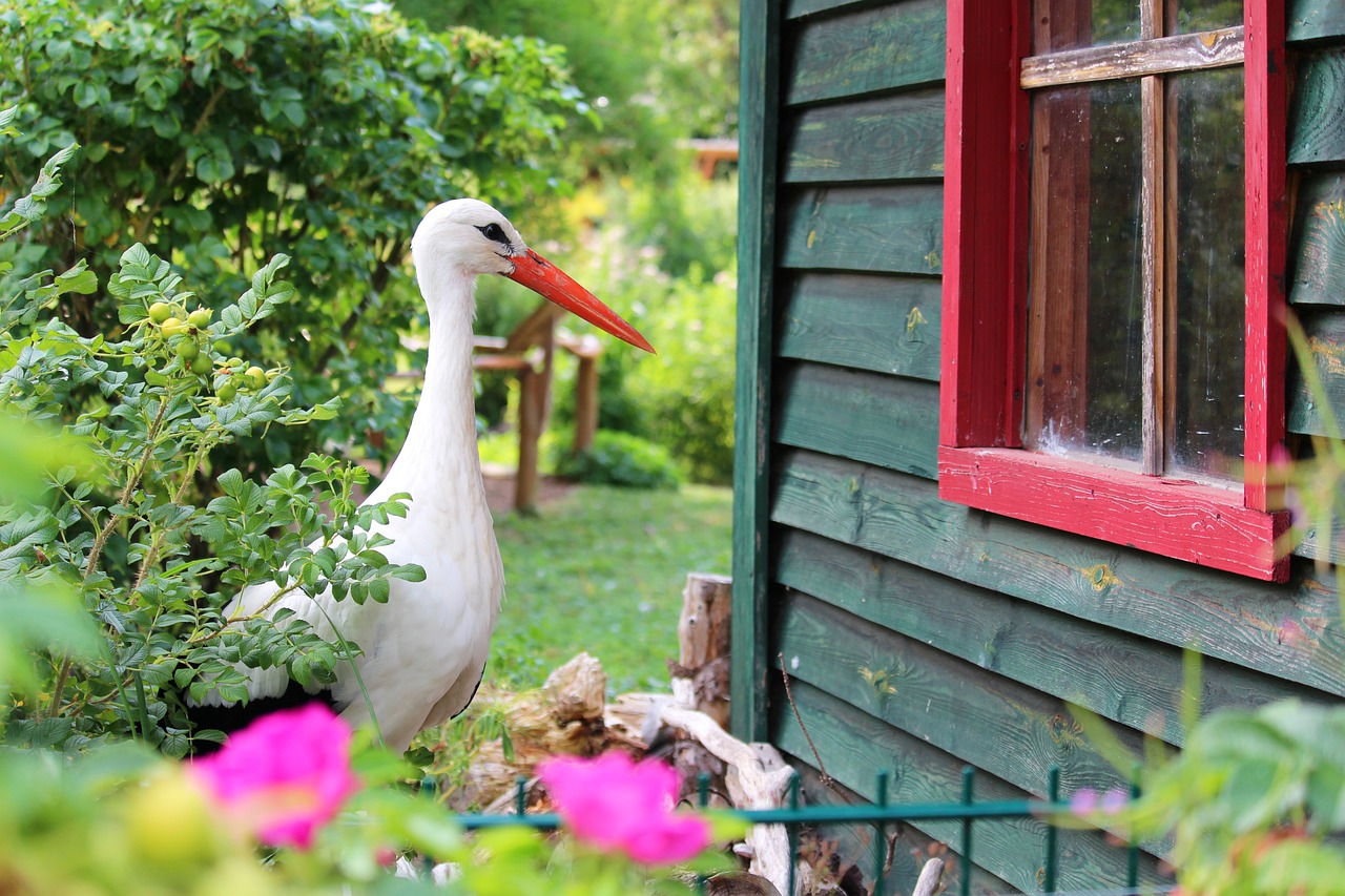 Security Tips for Garden Sheds